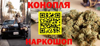 сатива Моздок